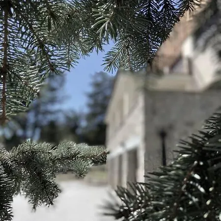 公寓 L'etoile De La Foret